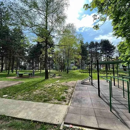 Honey 1 * לוזניצה